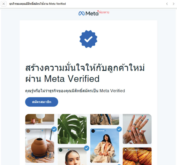 Meta Verified